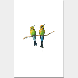 Rainbow Bee-Eaters Watercolour Design - White Background Posters and Art